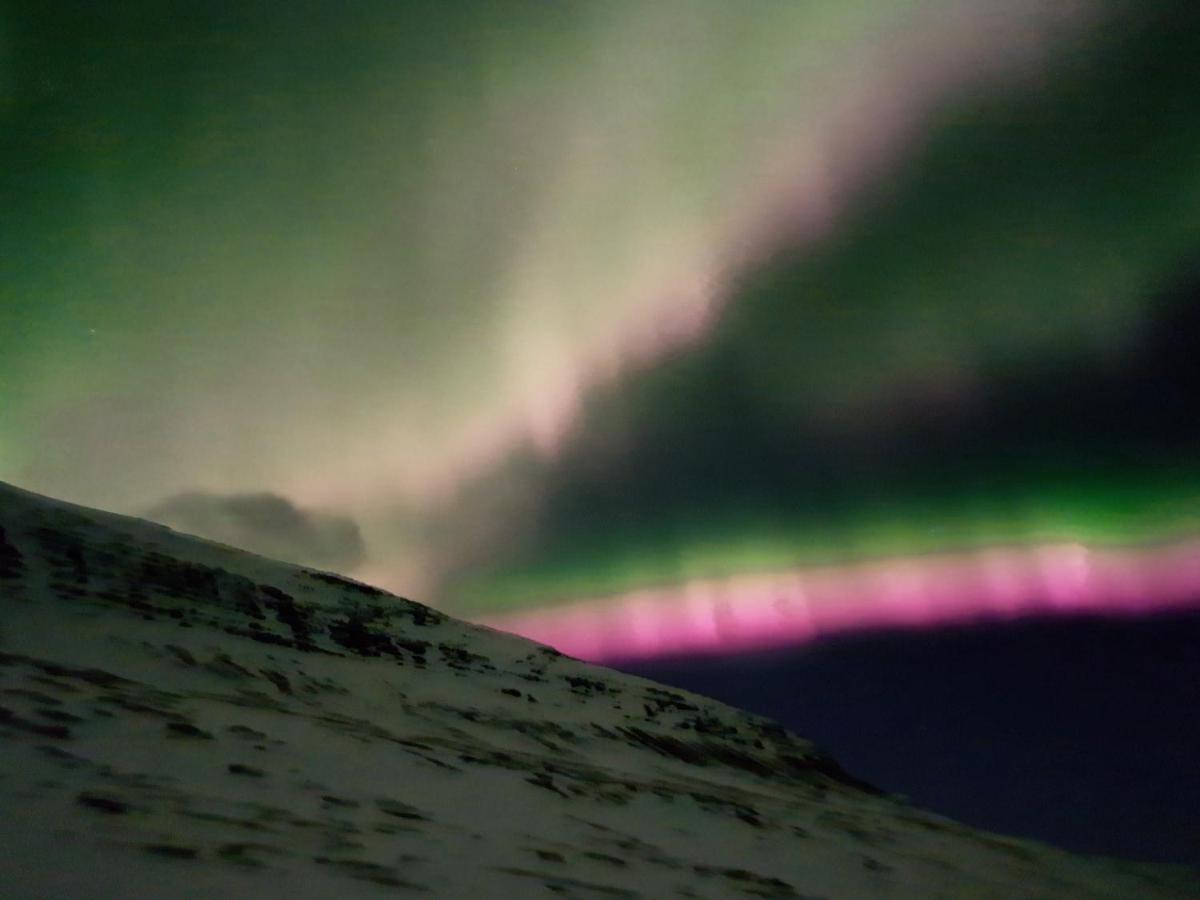 雷达夫尤都公寓 Reydarfjordur 外观 照片