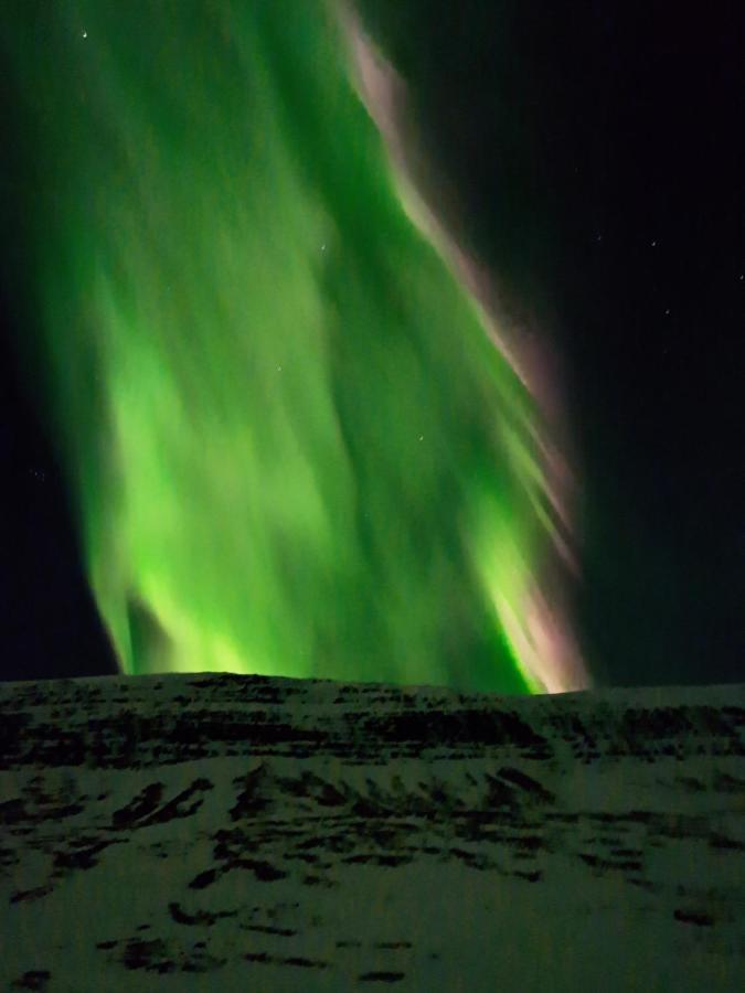 雷达夫尤都公寓 Reydarfjordur 外观 照片
