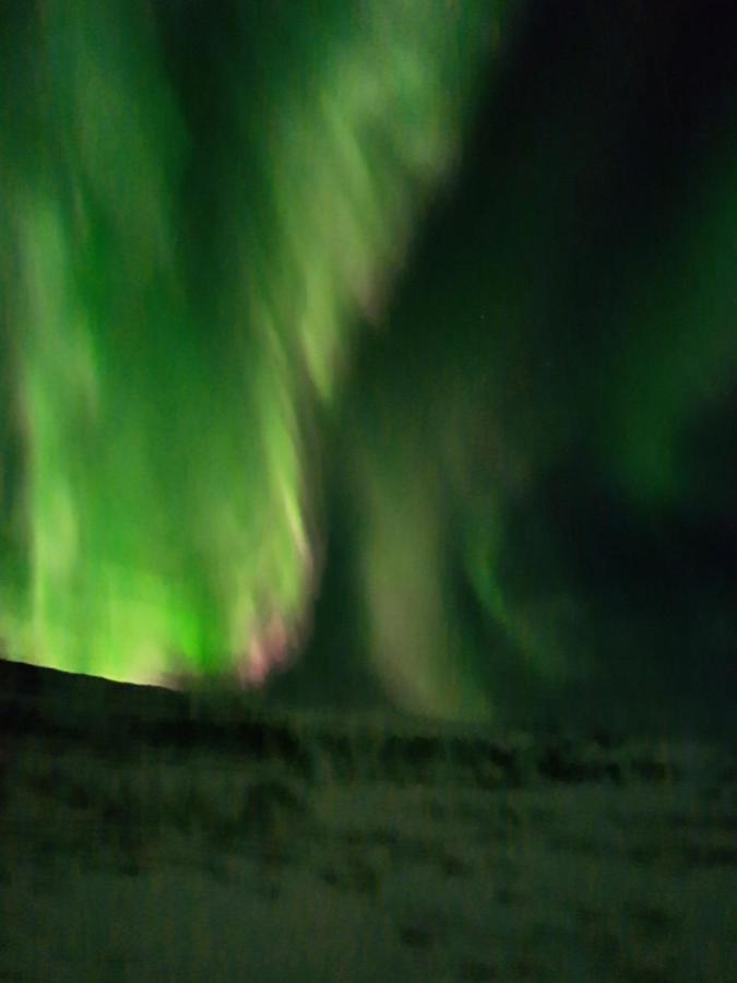 雷达夫尤都公寓 Reydarfjordur 外观 照片