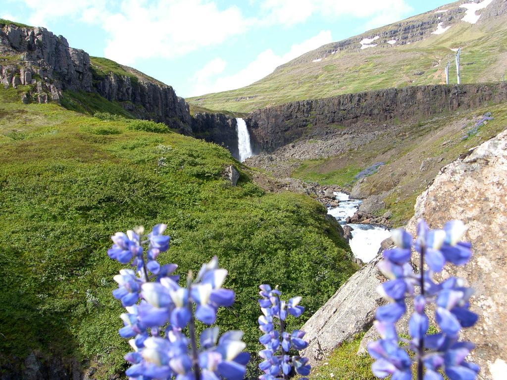 雷达夫尤都公寓 Reydarfjordur 外观 照片
